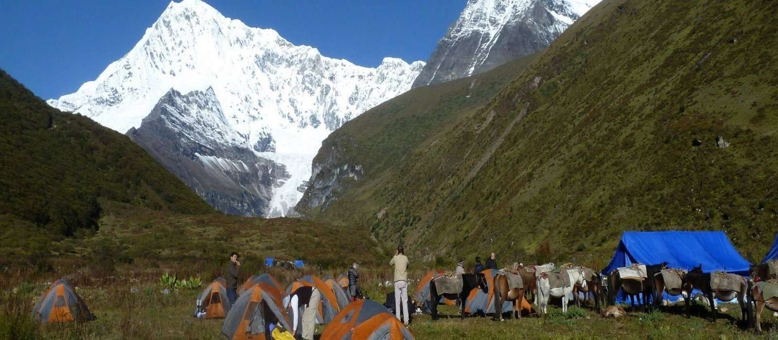 Laya Gasa Trek